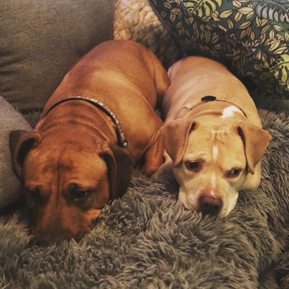 Meet your Posher, Eileen